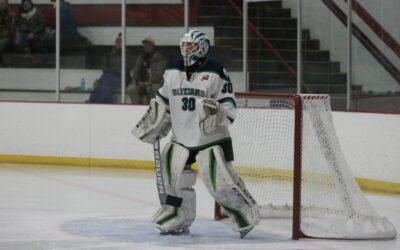 Blizzard Big Win Against Bulls