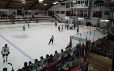 Blizzard Week in Review