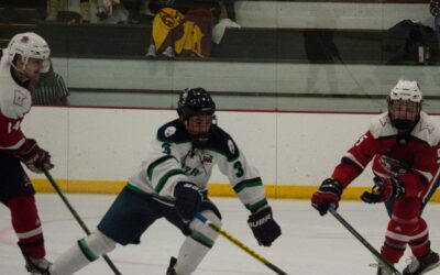 Blizzard Clinch 9th Consecutive Playoff Spot