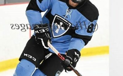 Blizzard Land 3 in the Draft