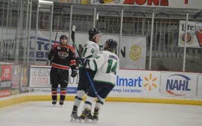 Blizzard Lose 2nd Straight to Willmar