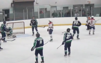 Blizzard Fall to Granite City