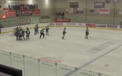 Blizzard Cap Off Road Trip with Shutout at New Ulm