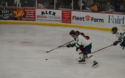 Blizzard Dominate Loons