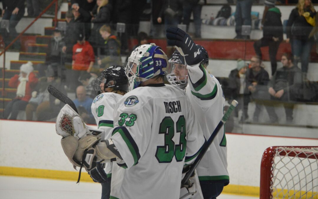 Blizzard Clinch Playoffs