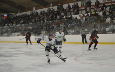 Blizzard Close Regular Season with Sweep