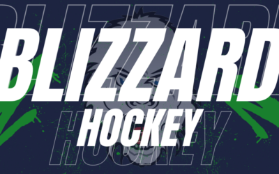 BLIZZARD HOMESTAND
