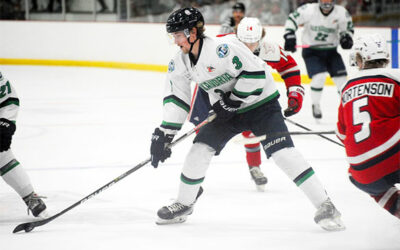 BLIZZARD TAKE DOWN GRANITE CITY