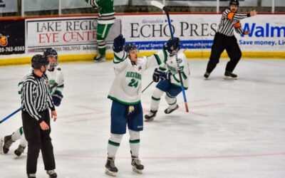 BLIZZARD PERFECT HOMESTAND