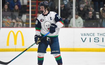 1ST ROUND: BLIZZARD FACE OFF WITH GRIZZLIES