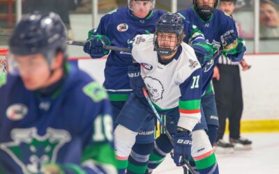 BLIZZARD SPLIT WITH TOROS