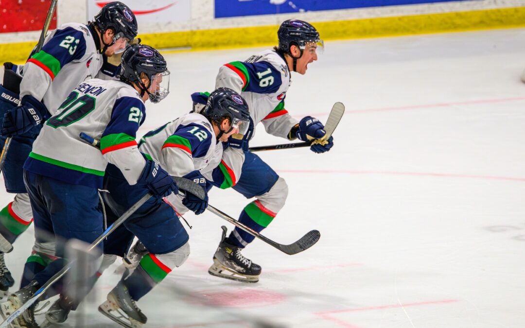 WEEKEND SWEEP | DOWN JACKS