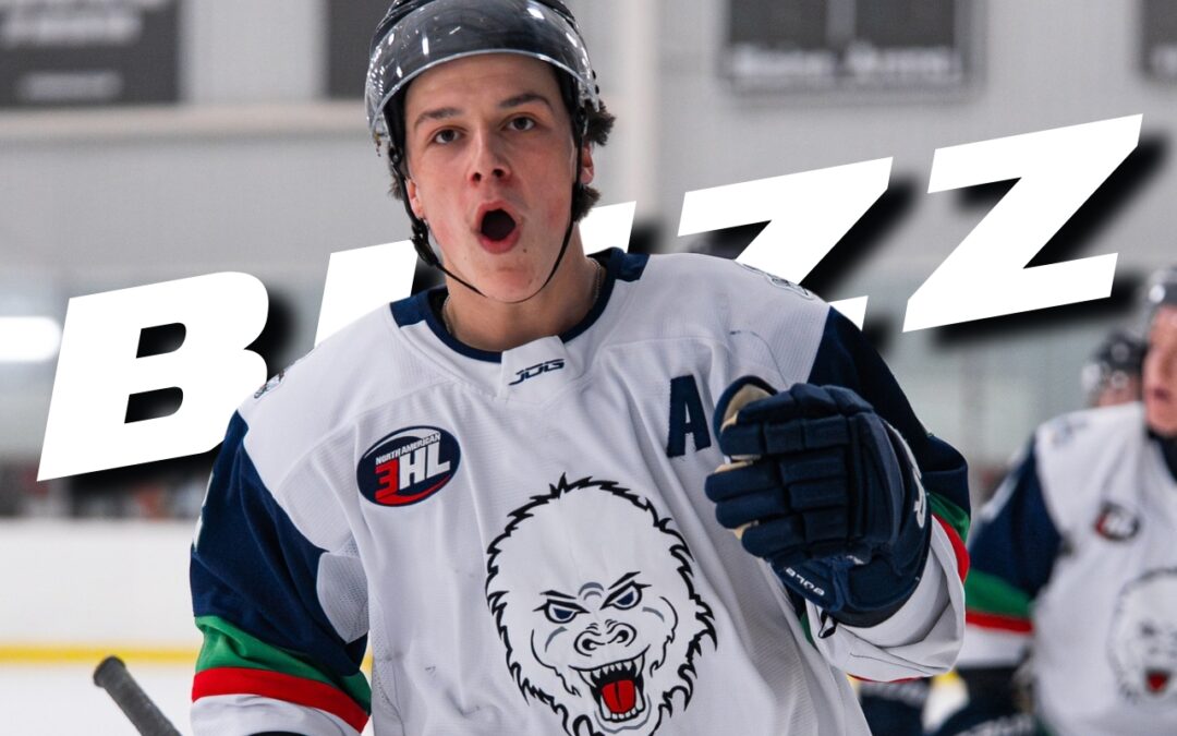 BLIZZARD SWEEP SHOWCASE