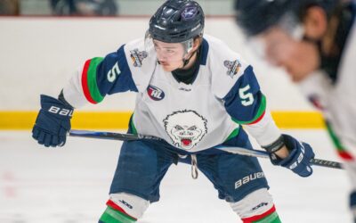 BLIZZARD SPLIT WITH WILDERNESS