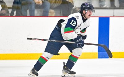 BLIZZARD SWEEP THE WEEKEND