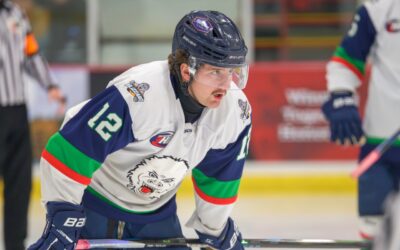 BLIZZARD DROP SERIES WITH JACKS