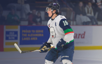 EXPLOSIVE 3RD PERIOD LIFTS BLIZZARD OVER MOOSE
